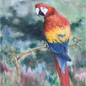 papegaai, 20x30, olieverf op doek,2021
